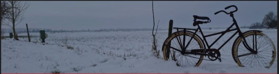 Screenshot_20260104_143829_Samsung Internet.jpg