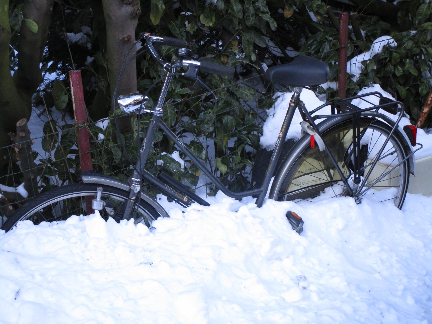 Gazelle grijs SA-3V, 14 februari 2021.JPG