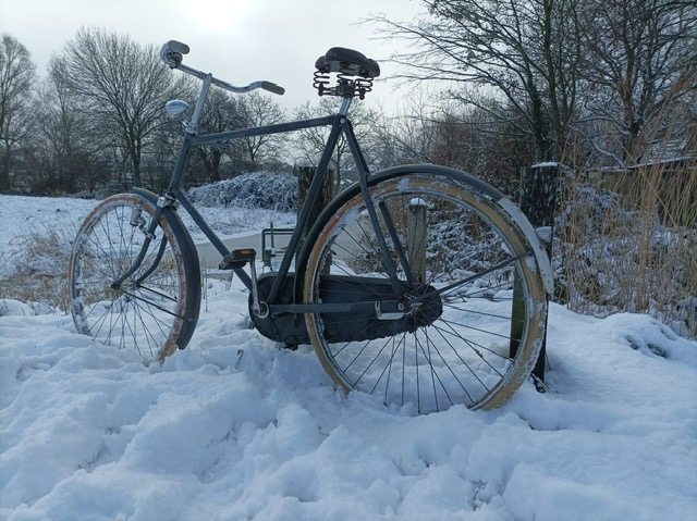 PHOTO-2026-01-06-14-45-24 (2).jpg