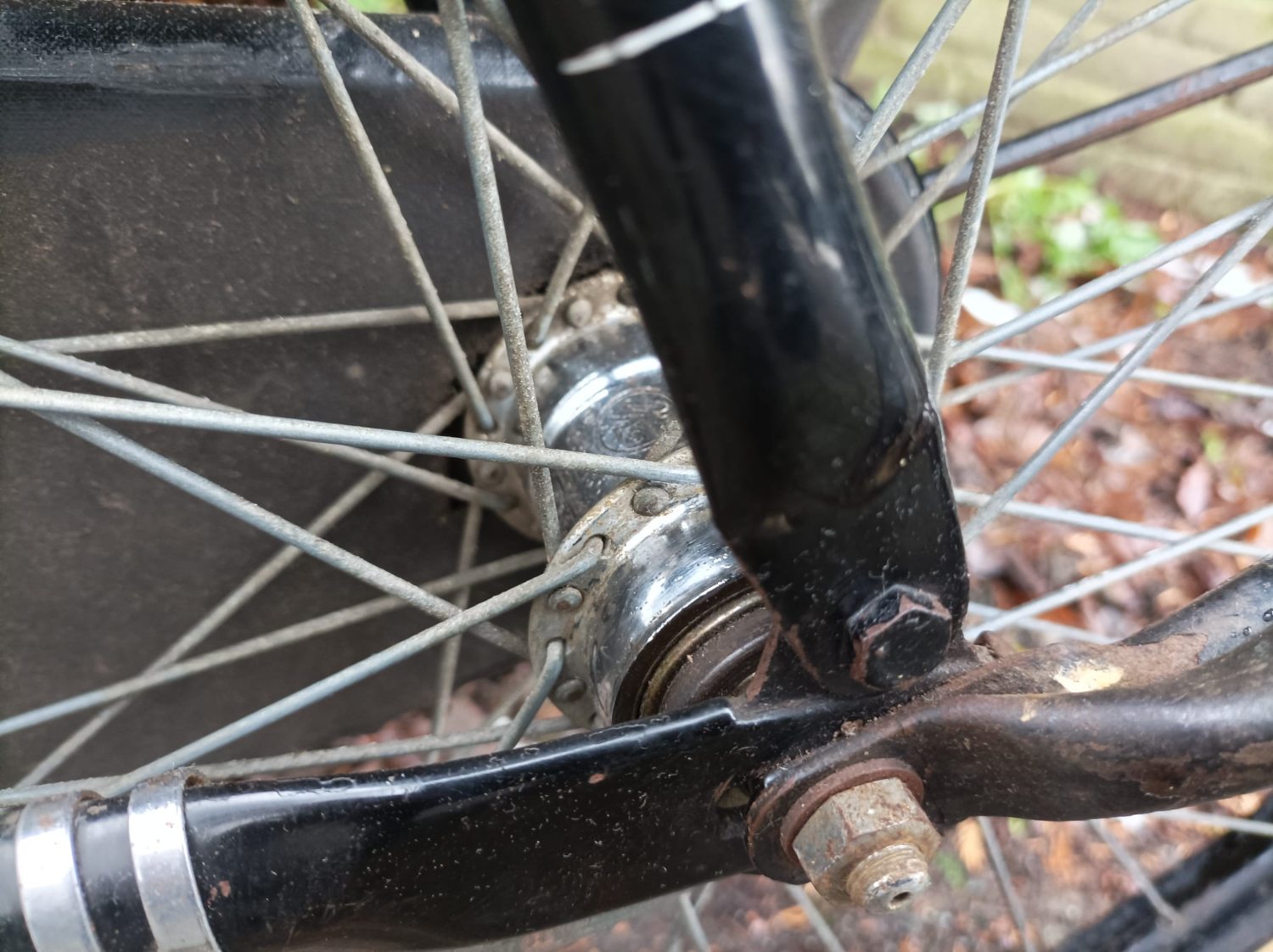 PHOTO-2026-01-09-19-31-04 (1).jpg