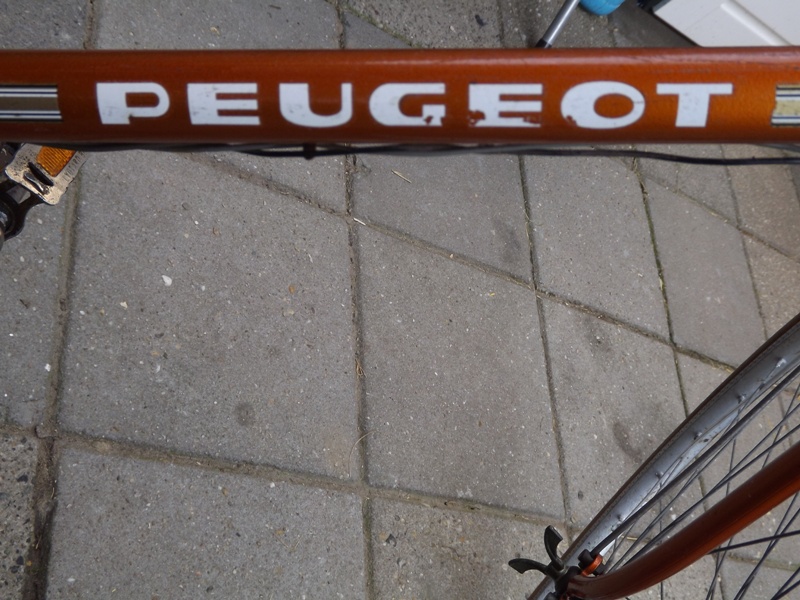 peugeot lady 05.JPG
