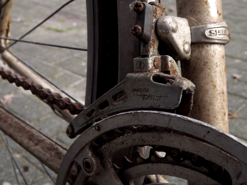 Phoenix 1979 (2).JPG