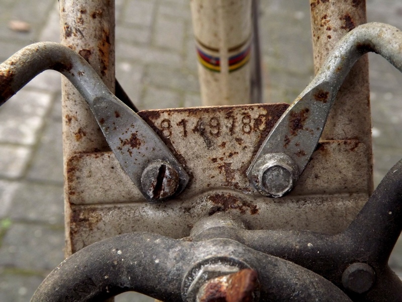 Phoenix 1979 (4).JPG