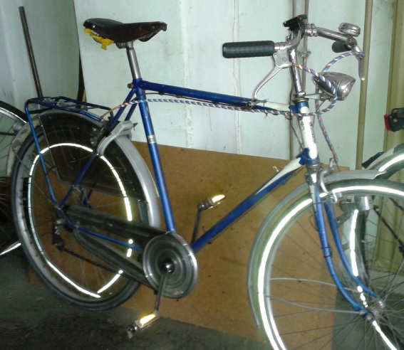 Gazelle Sport Licht.jpg