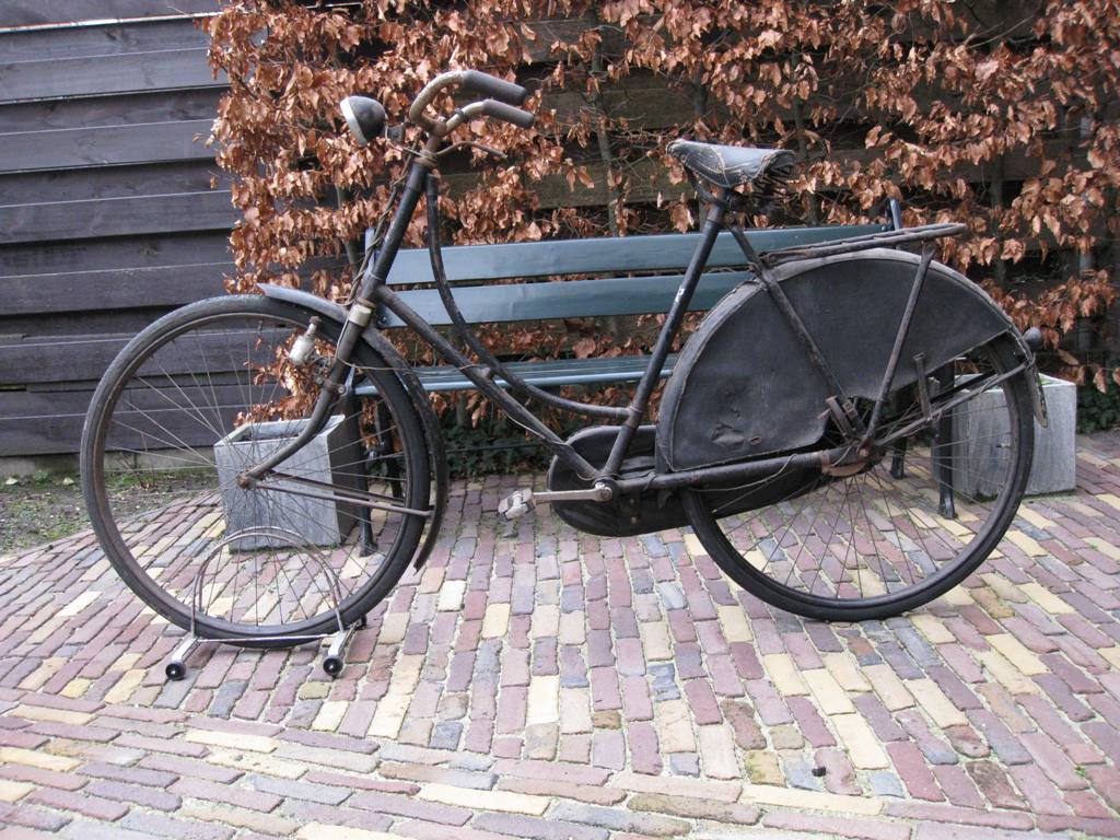 Veenlust damesrijwiel