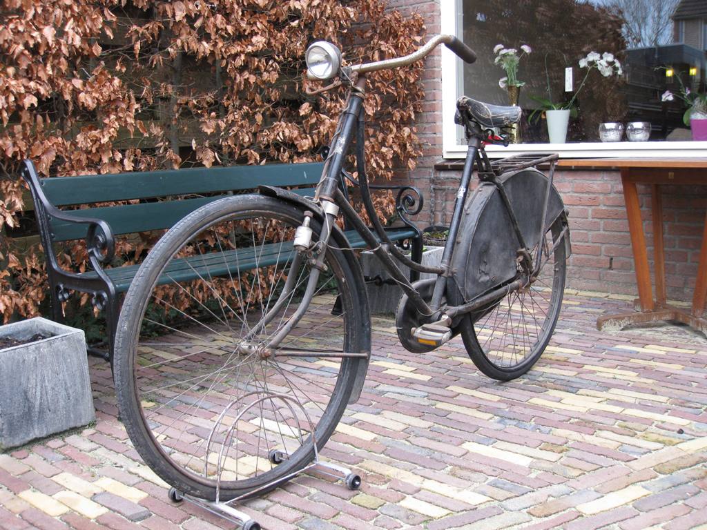 Veenlust damesrijwiel