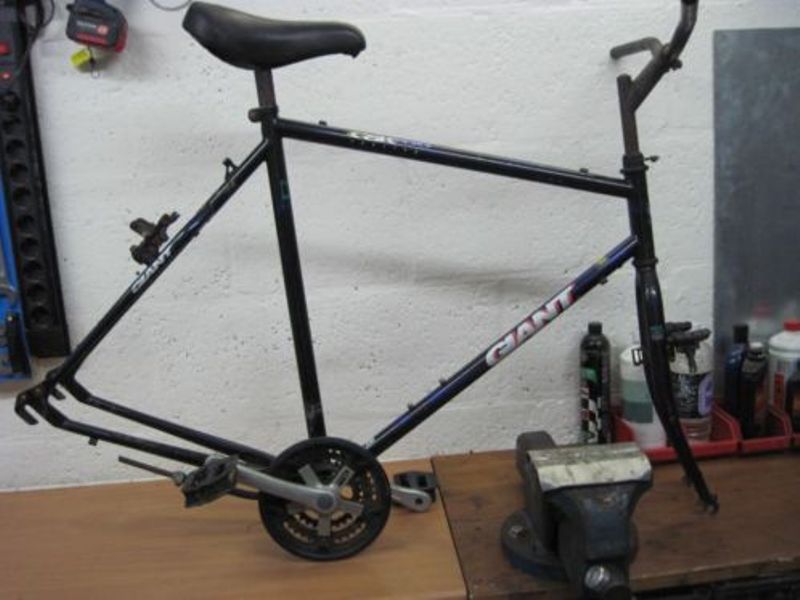 Raleigh EuroCruiser (1).jpg