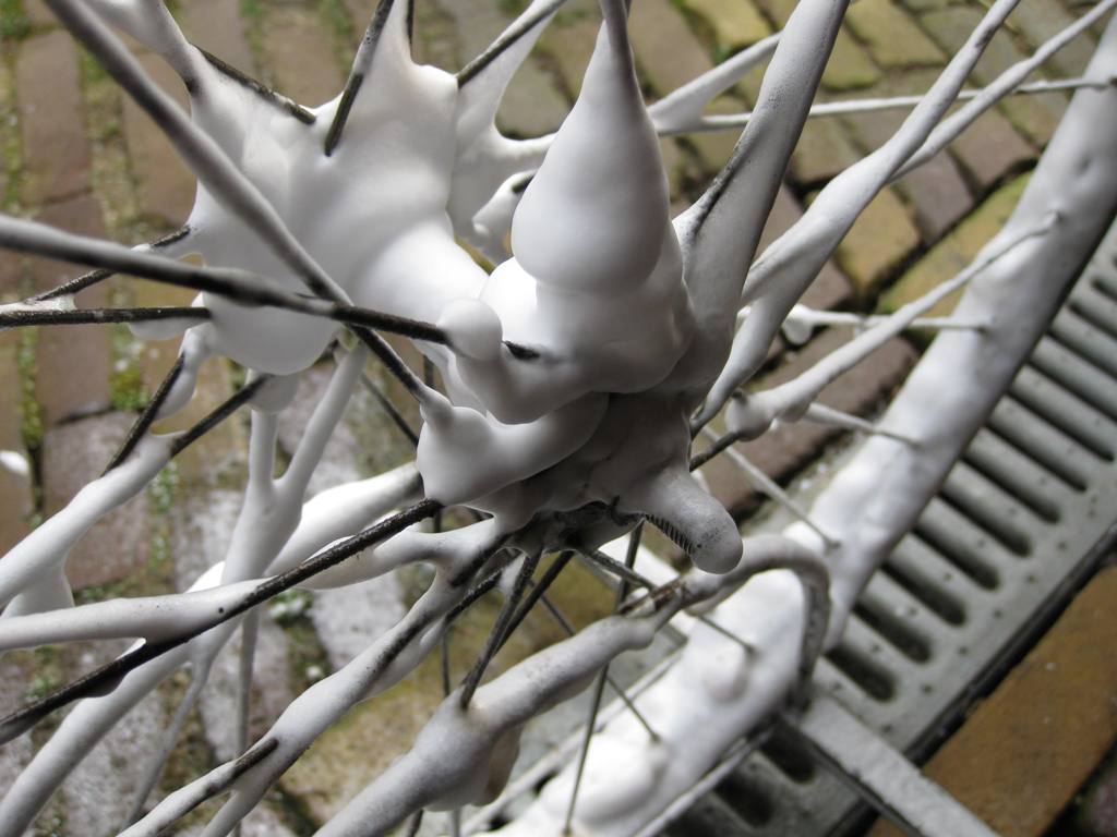 Ziet er wel grappig uit!