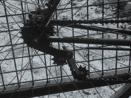 P1010284 - kopie.JPG