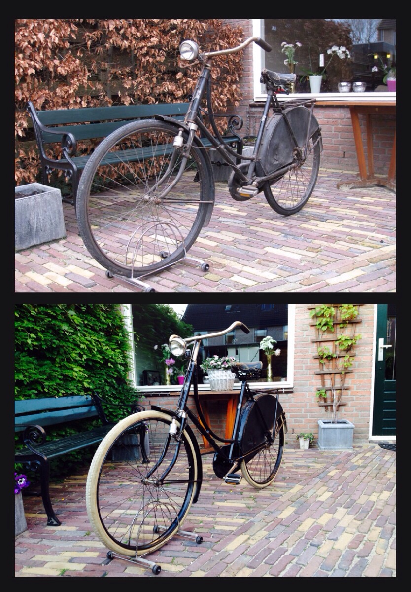 Veenlust damesrijwiel