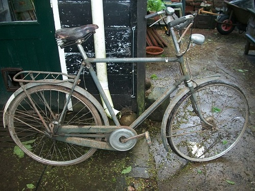 Let a.u.b. niet op het plaveisel. Dat is het feitelijk ook niet. Twee jaar geleden stonden we hier ín de schuur, dat deel heb ik wegens bouwvalligheid afgebroken. De verzakte betonvloer moet nog eens wijken voor gebakken waaltjes. Ooit.