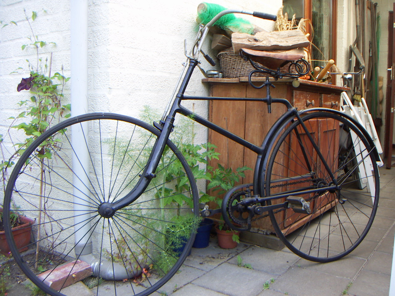 De Copake Singer op nederlandse bodem