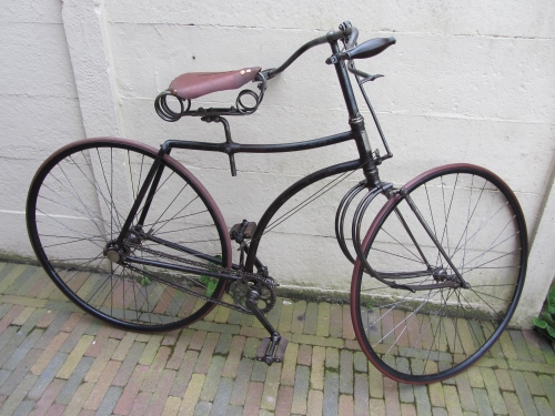 IMG_2773 (500x375) (2).jpg