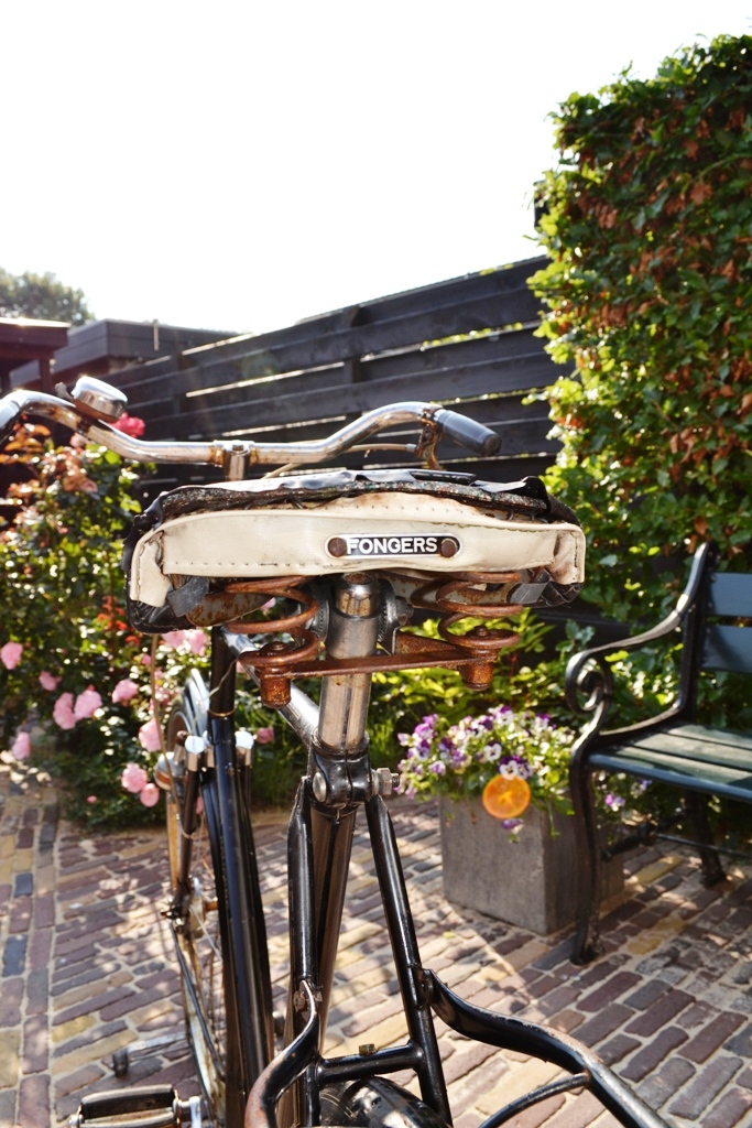 Fongers Majestic 1961 Uitvoering 5 13.JPG