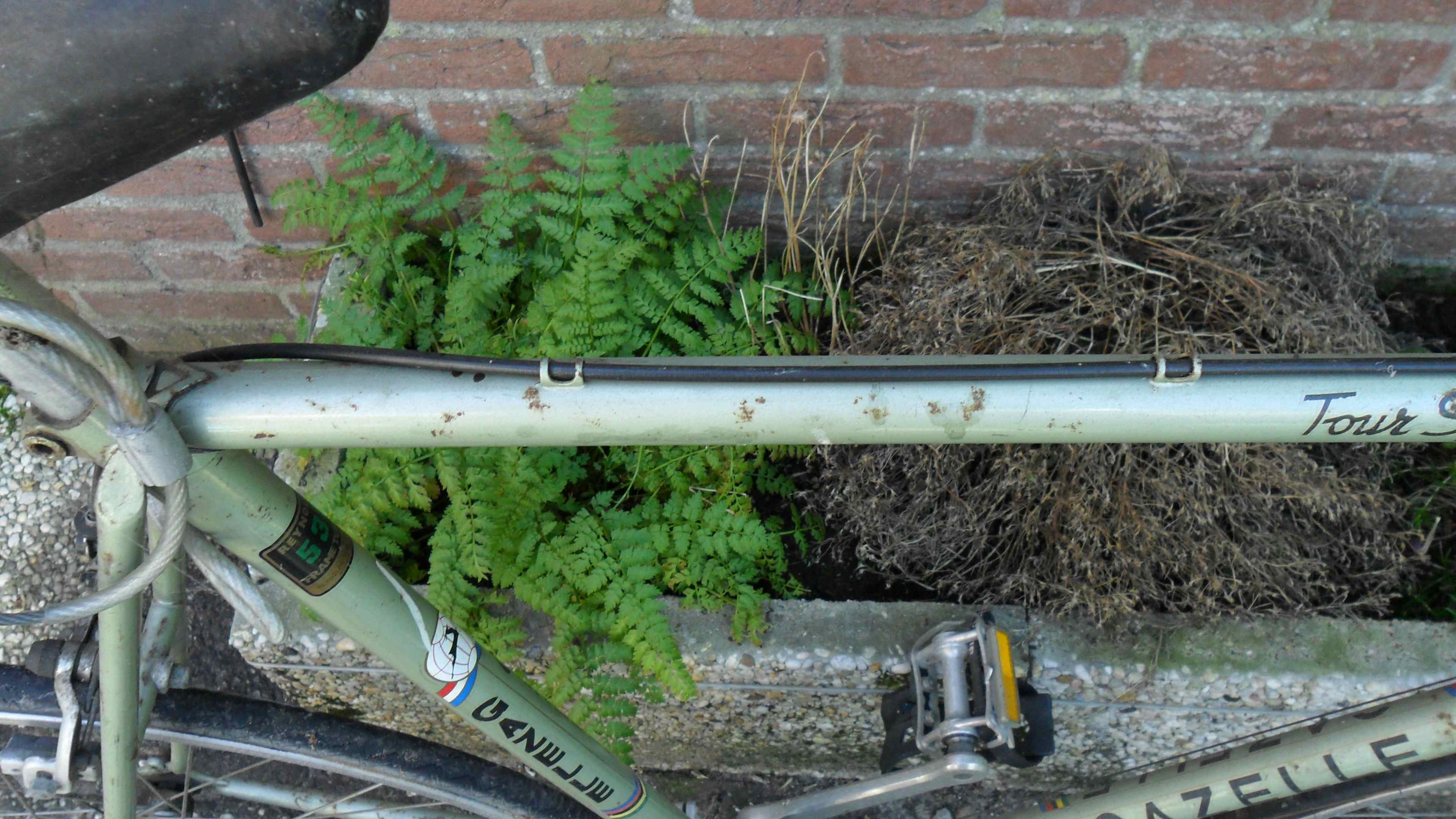 En dit is de minst erge buis