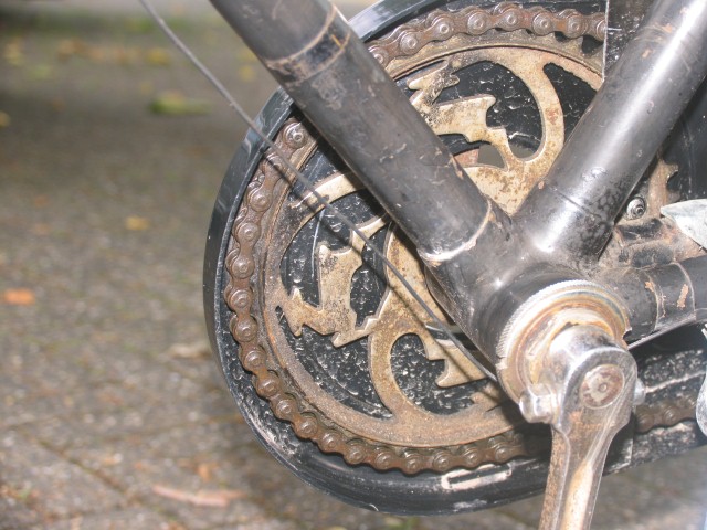 IMG_3063 (Small).JPG