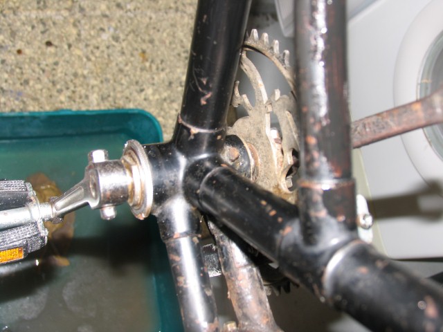 IMG_3249 (Small).JPG