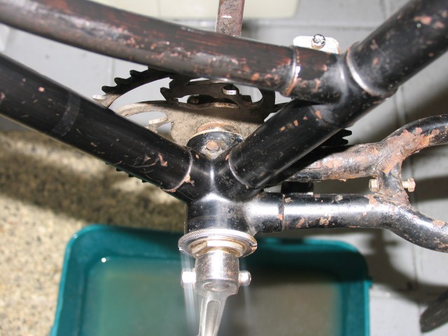 IMG_3250 (Small).JPG