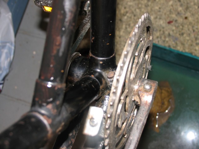 IMG_3251 (Small).JPG