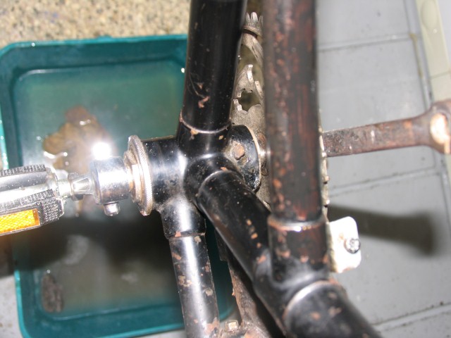 IMG_3254 (Small).JPG