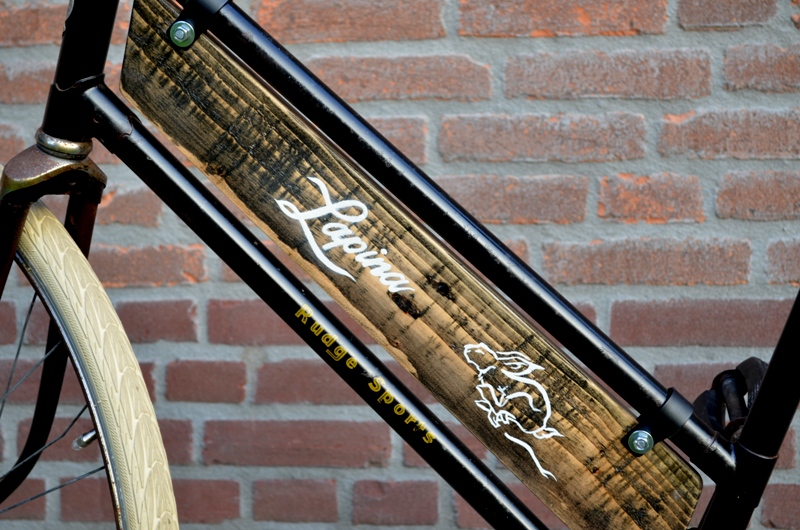 Rudge Sports Lapina (3).JPG