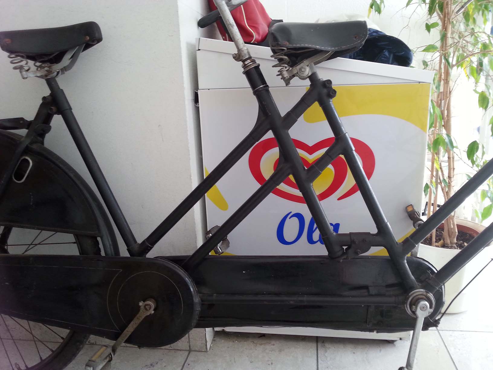 20141010_154719 copy.jpg