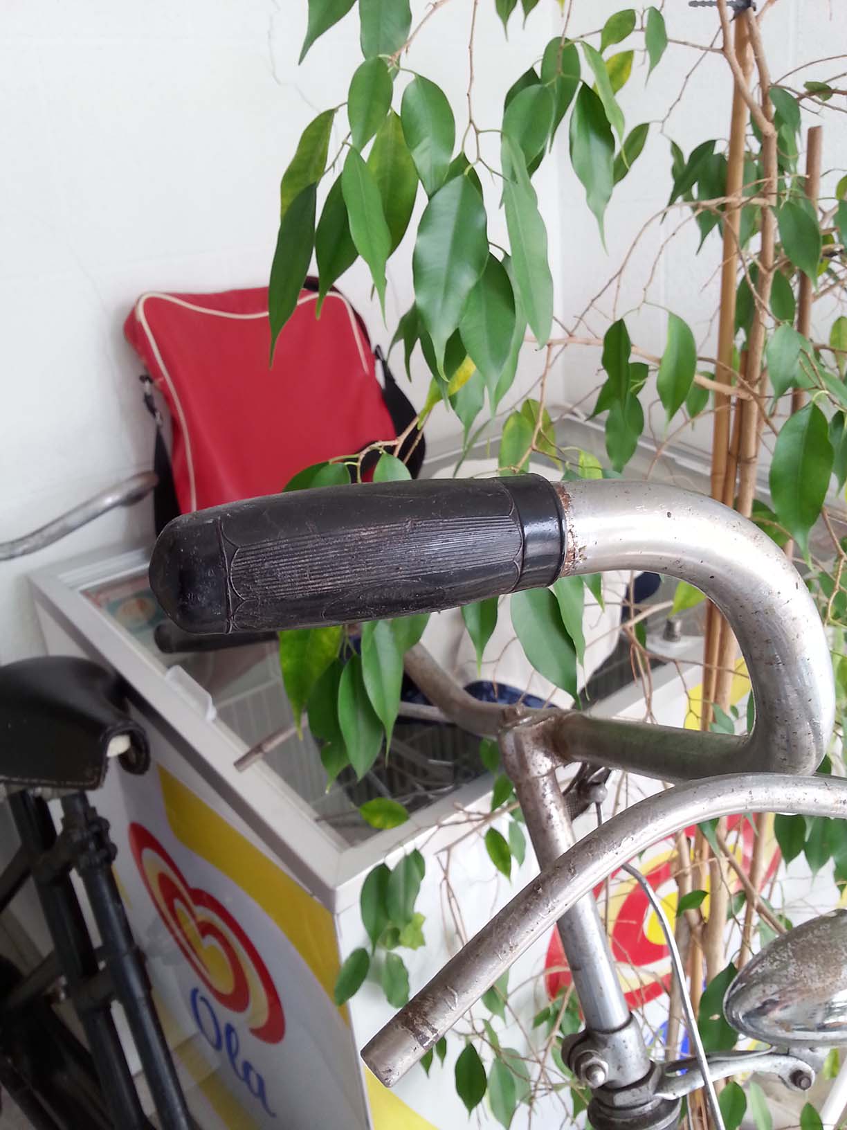 20141010_155027 copy.jpg