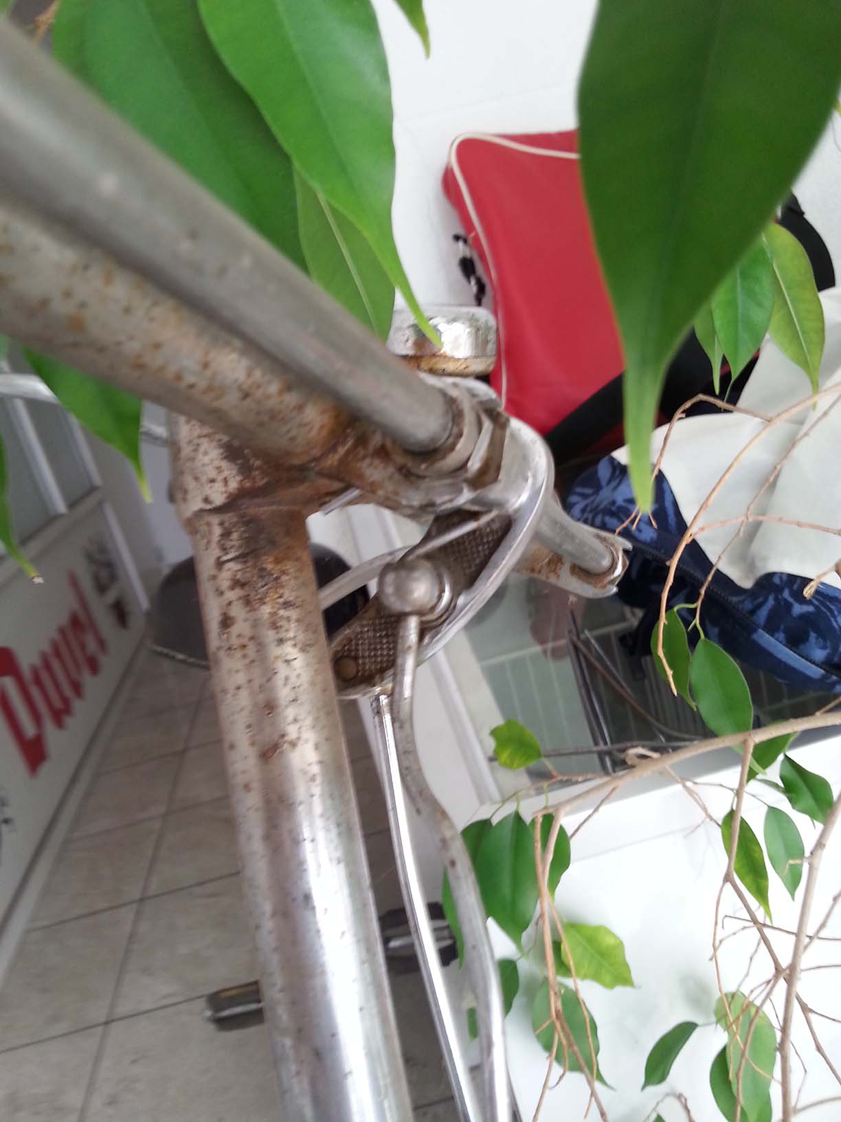 20141010_155035 copy.jpg