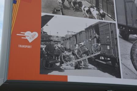 DSC_1359 - kopie.JPG