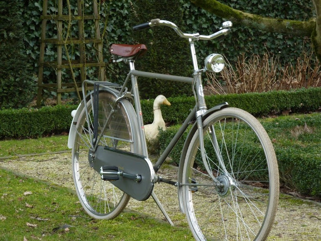GazelleSport61cm.JPG