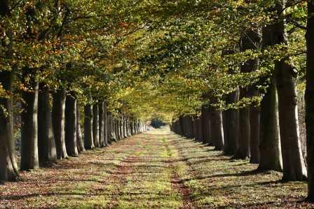 DSC_2382 - kopie.JPG