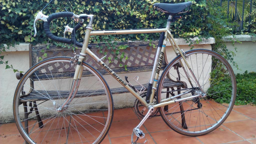 De fiets in kwestie.