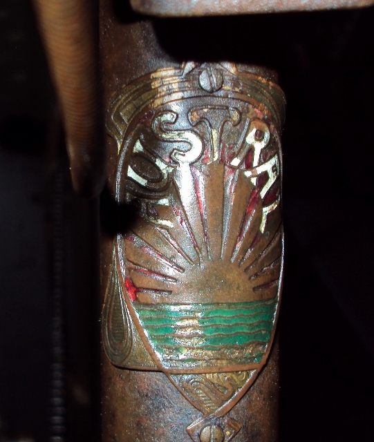 DSC02925 (541x640).jpg