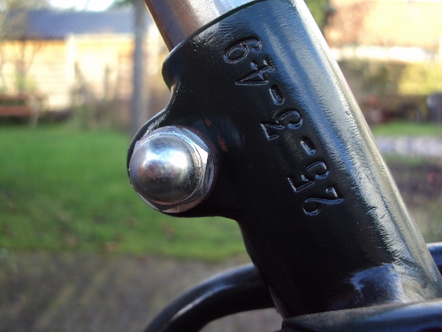 DSC02946 (500x375).jpg