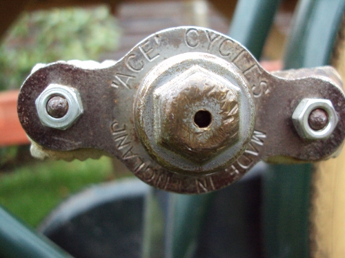 DSC02960 (500x375).jpg