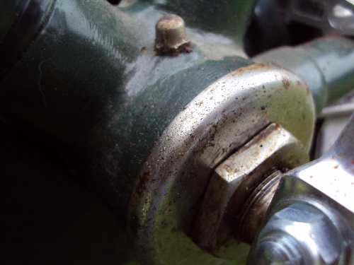 DSC02965 (500x375).jpg