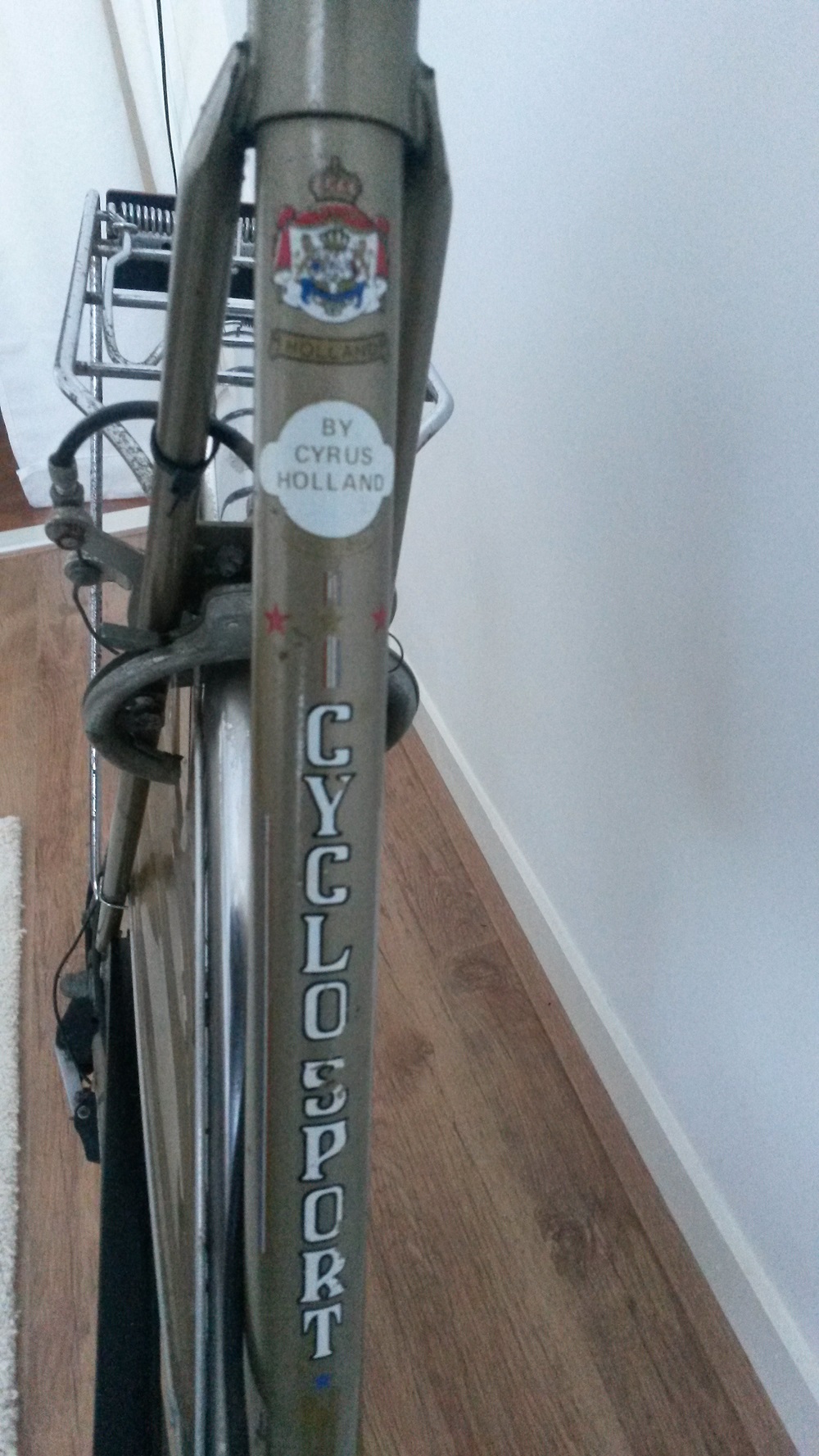 cyrus holland inzoom.jpg