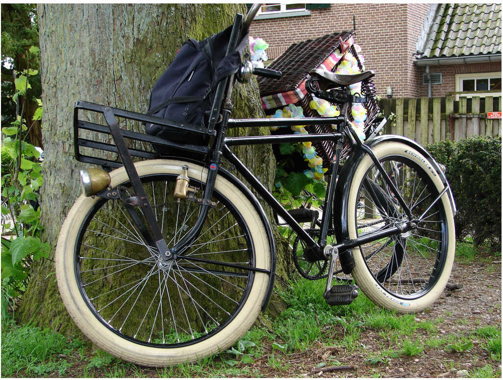 Bij de Carolinahoeve.jpg