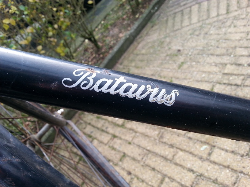 batavus.jpg