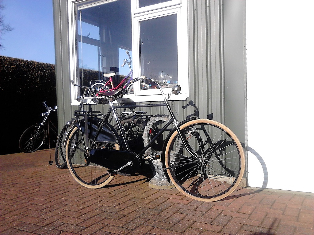 Mooi in het zonnetje