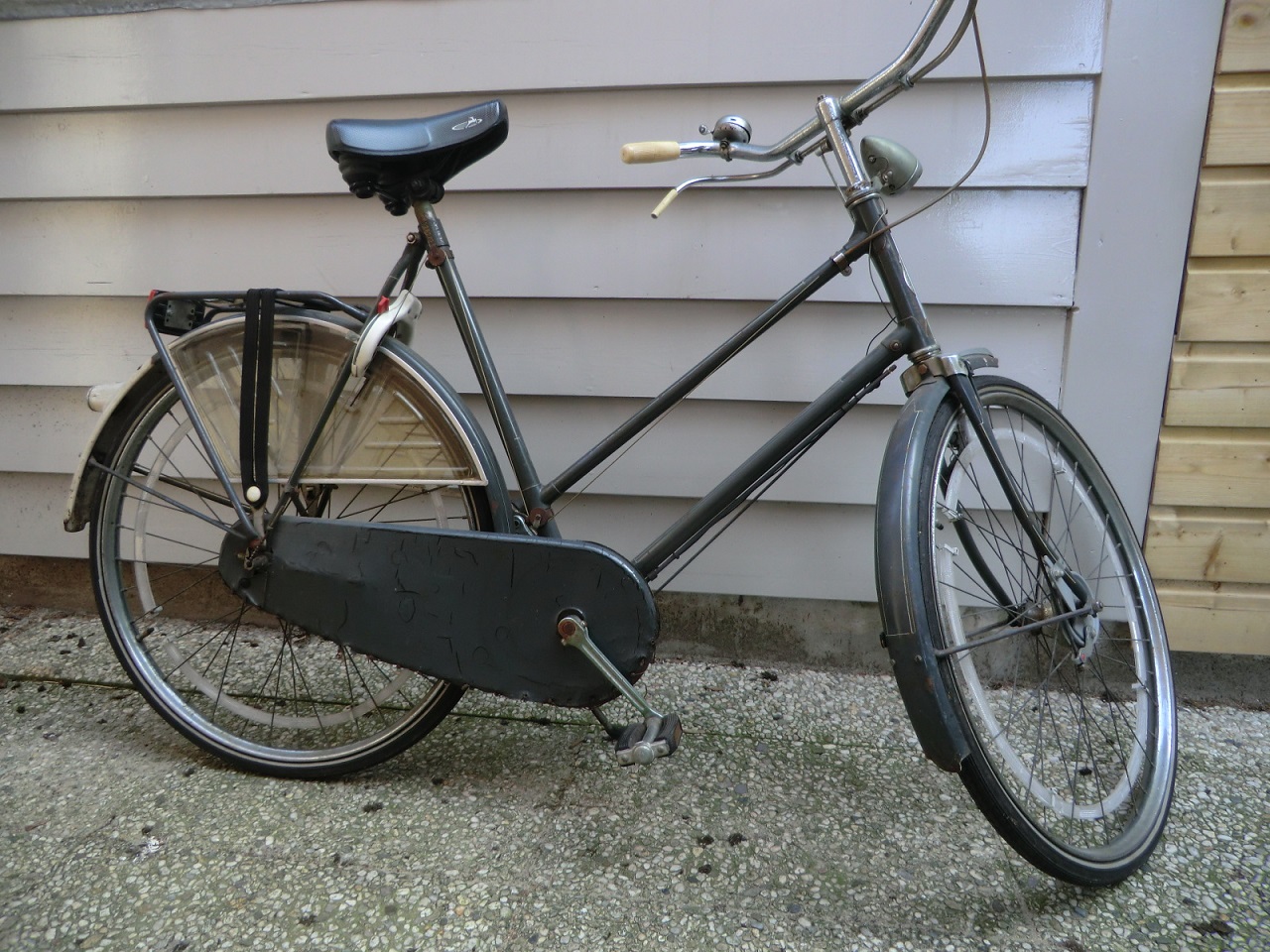 gazelle sport klein(1).jpg