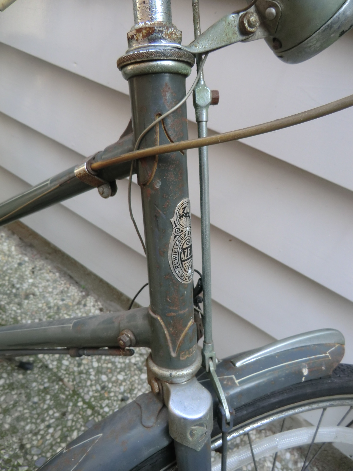 gazelle sport (2).JPG