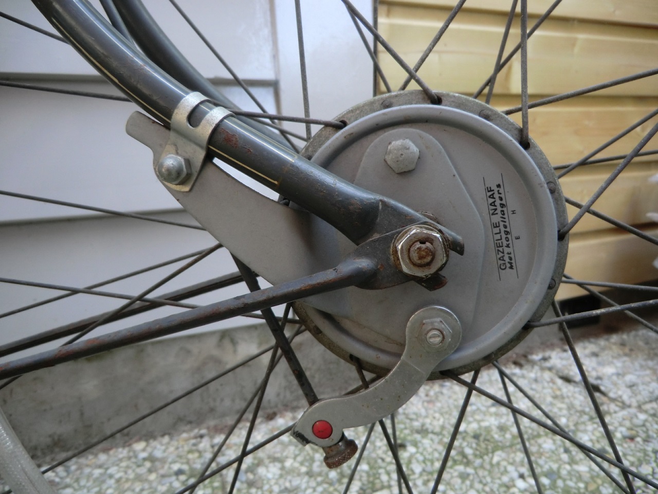 gazelle sport klein(3).jpg