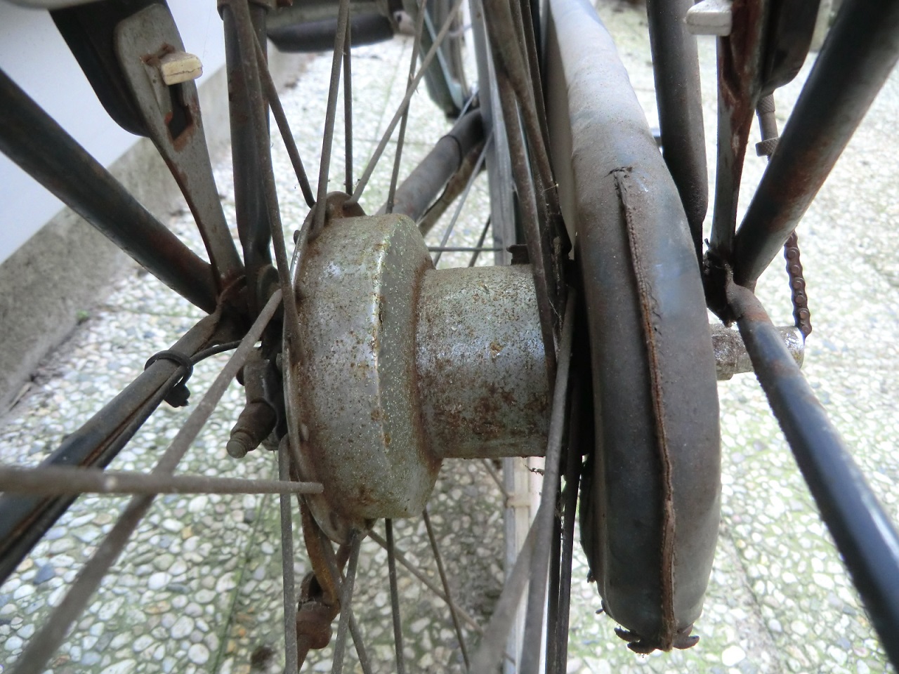 gazelle sport klein (4).jpg