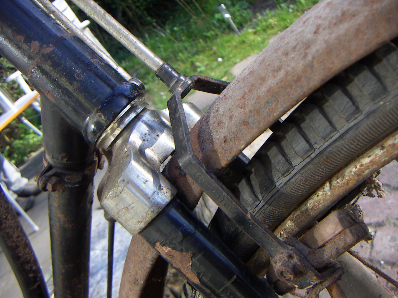 opvallende onderste cup van het balhoofd